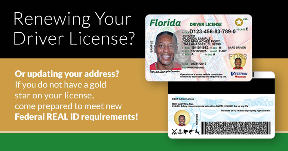 How To Get A Florida Drivers License >> Official Pasco County Driver License Information Mike Fasano How To Get A Florida Drivers License >> Official Pasco County Driver License Information Mike Fasano